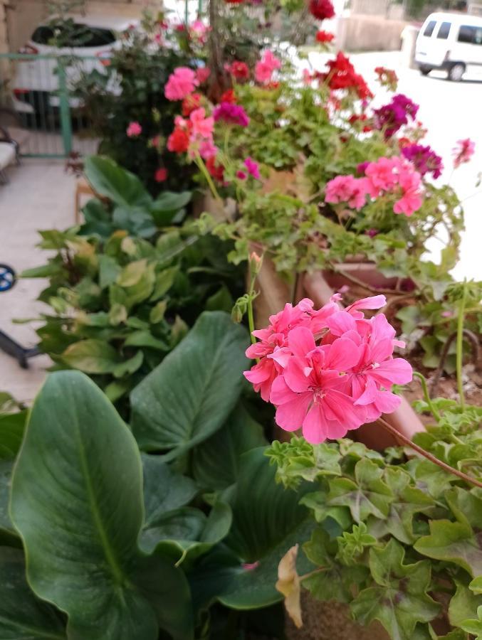 B&B At Palestinian Home / Beit Sahour Bethlehem Exterior foto
